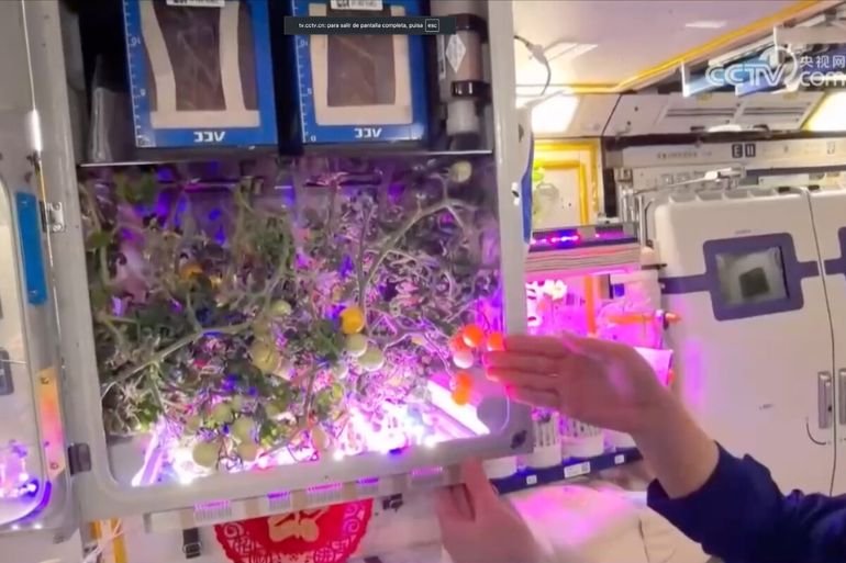 China cultiva tomates en el espacio y acelera su dominio orbital China cultiva tomates en la estación Tiangong, avanzando hacia la autosuficiencia espacial. Un paso clave en la carrera global por el dominio del espacio.