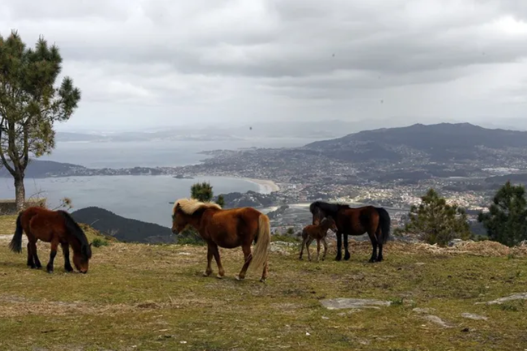 El BNG presiona para bloquear eólicos en la Serra da Groba pese a impacto económico