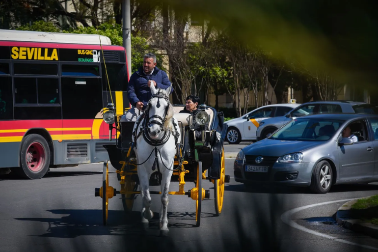 Sevilla rechaza votar sobre coches de caballos y desata polémica Sevilla rechaza votar sobre coches de caballos
