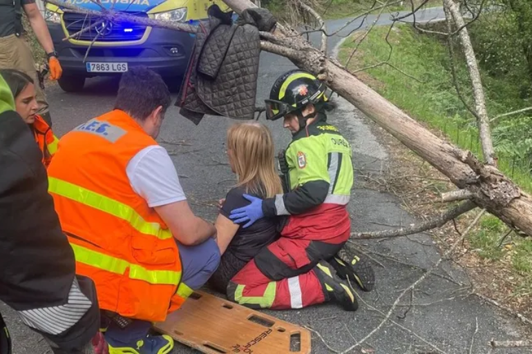 Herida una mujer tras caerle un pino en Ourense en plena alerta por viento