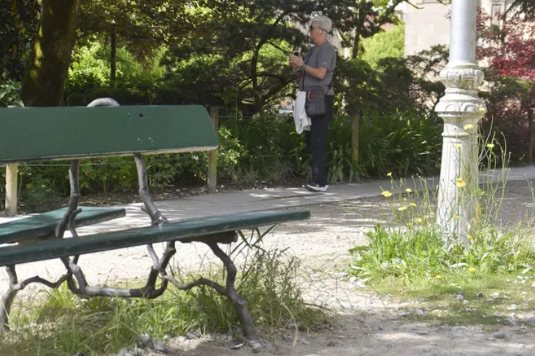 Crisis de abandono en Santiago: maleza descontrolada invade calles y parques