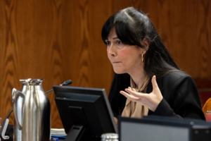Pedraz amplía el caso Leire Díez