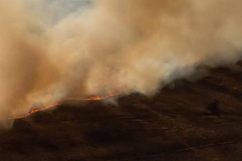 El mayor incendio de 2026 arrasa ya 12 000 hectáreas en Zaragoza y mantiene a más de 1 100 personas fuera de sus hogares El mayor incendio de 2026 arrasa ya 12 000 hectáreas en Zaragoza