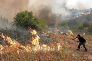Madrid declara la emergencia nacional por incendios