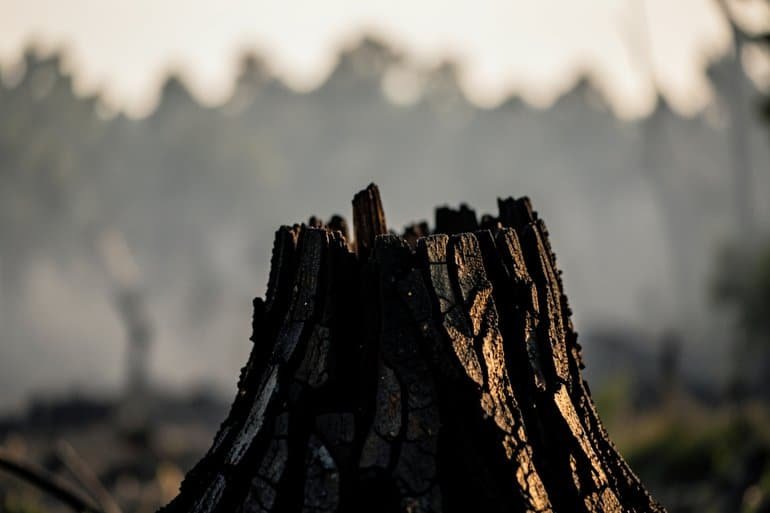 Incendios en España dejan impacto ambiental y problemas de salud Incendios en España dejan impacto ambiental y problemas de salud