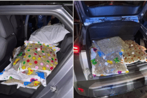 Cazado en Castelló con 43 kilos de marihuana